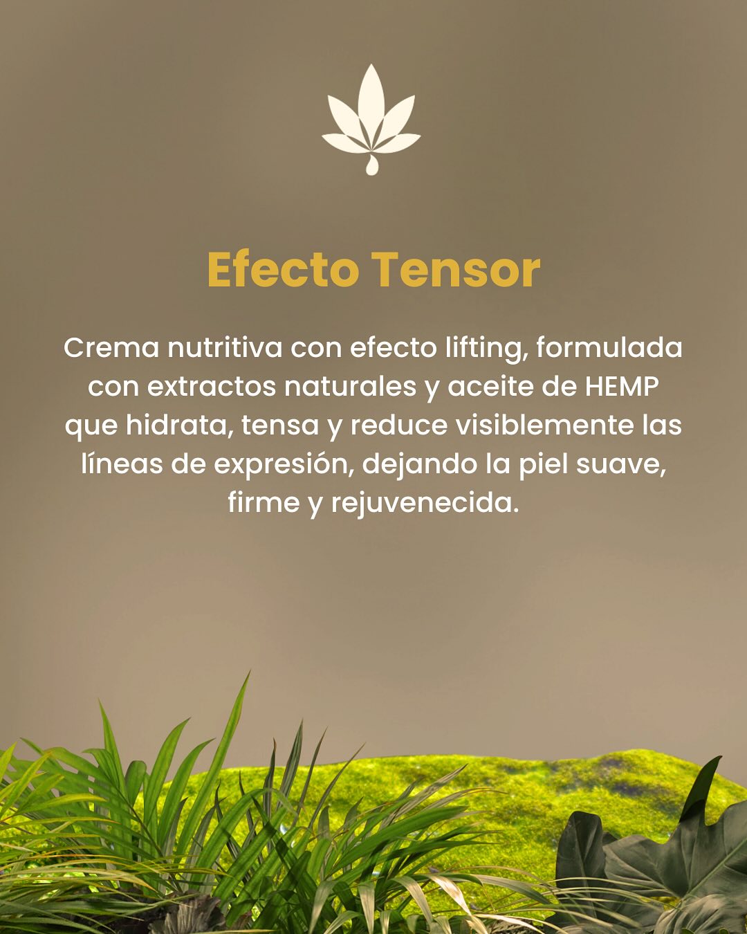 Bótox Vegetal Efecto Tensor