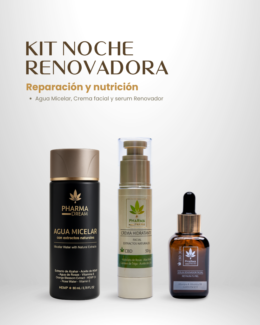 Kit Noche Renovadora – Reparación y Antiedad